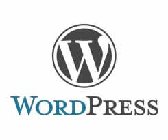 Spécialiste WordPress Luxembourg, expertise Virton, Arlon. Travail sur site Web