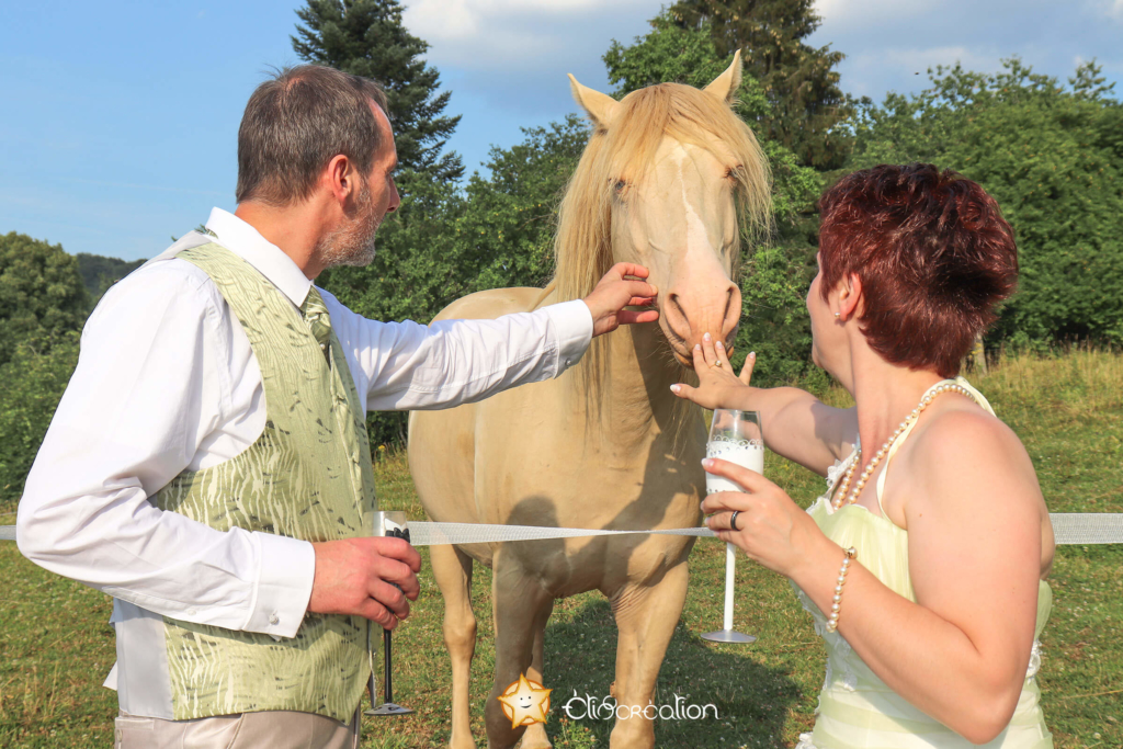 Photographe spécialisé en mariage Marbean, Bellefontaine, Vance, Sampont