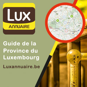 Annuaire des commerçants en province du Luxembourg, Guide régional des entreprises et professionnels