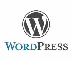 Spécialiste WordPress Luxembourg, expertise Virton, Arlon. Travail sur site Web