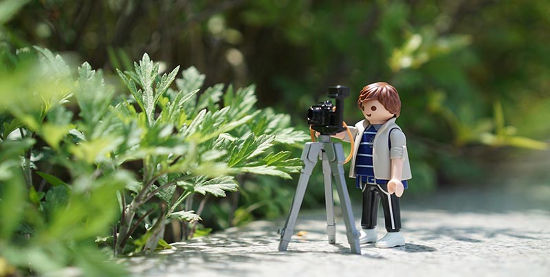 Photographe province du Luxembourg